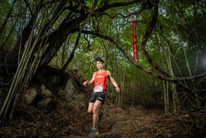 BIB: 
                            <button type="button" onclick="openModal(22177376)" class="btn btn-primary btn-sm float-right btn-popup" data-toggle="modal" data-target=".modal-high-quality">
                        <i class="fas fa-shopping-cart"></i> Add to Cart
                    </button>
                                            <button type="button" onclick="isThisMe(22177376, true)" class="btn btn-success btn-sm float-right btn-popup btn-isme hidden" data-toggle="tooltip" data-placement="bottom" title="นี่คือรูปของคุณใช่ไหม คลิกที่นี่เพื่อเอาเข้าอัลบั้ม">
                        <i class="fas fa-plus"></i> Add to album
                    </button>
                    <button type="button" onclick="isThisMe(22177376, false)" class="btn btn-warning btn-sm float-right btn-popup btn-isnotme hidden">
                        <i class="fas fa-ban"></i> Remove from album
                    </button>